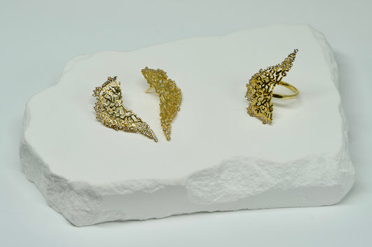 Wing jewellery Set of 2