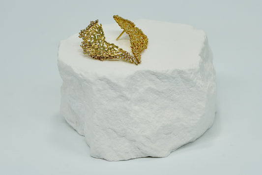 Wing Earring